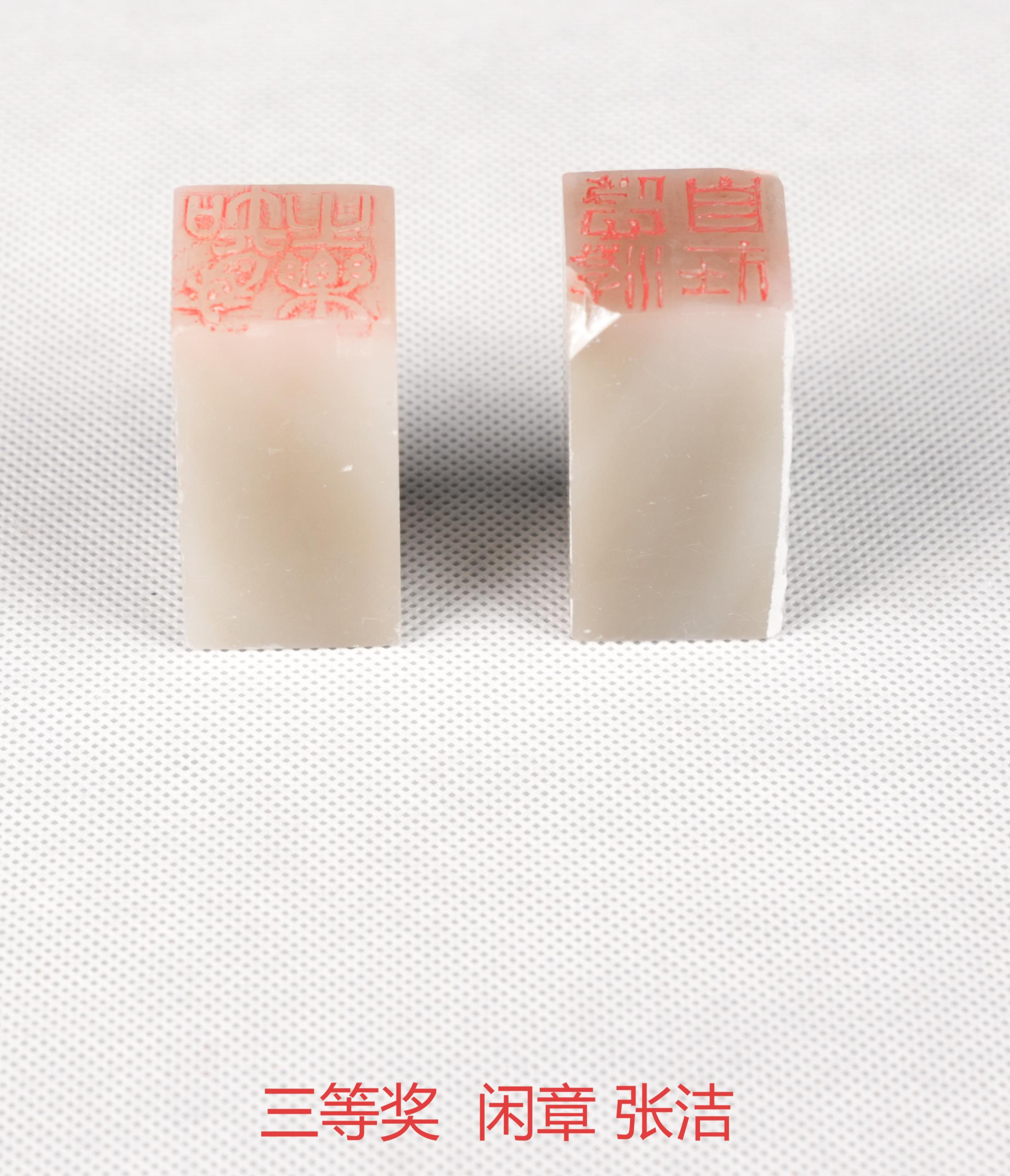 三等奖  闲章  教辅  张洁(1).jpg