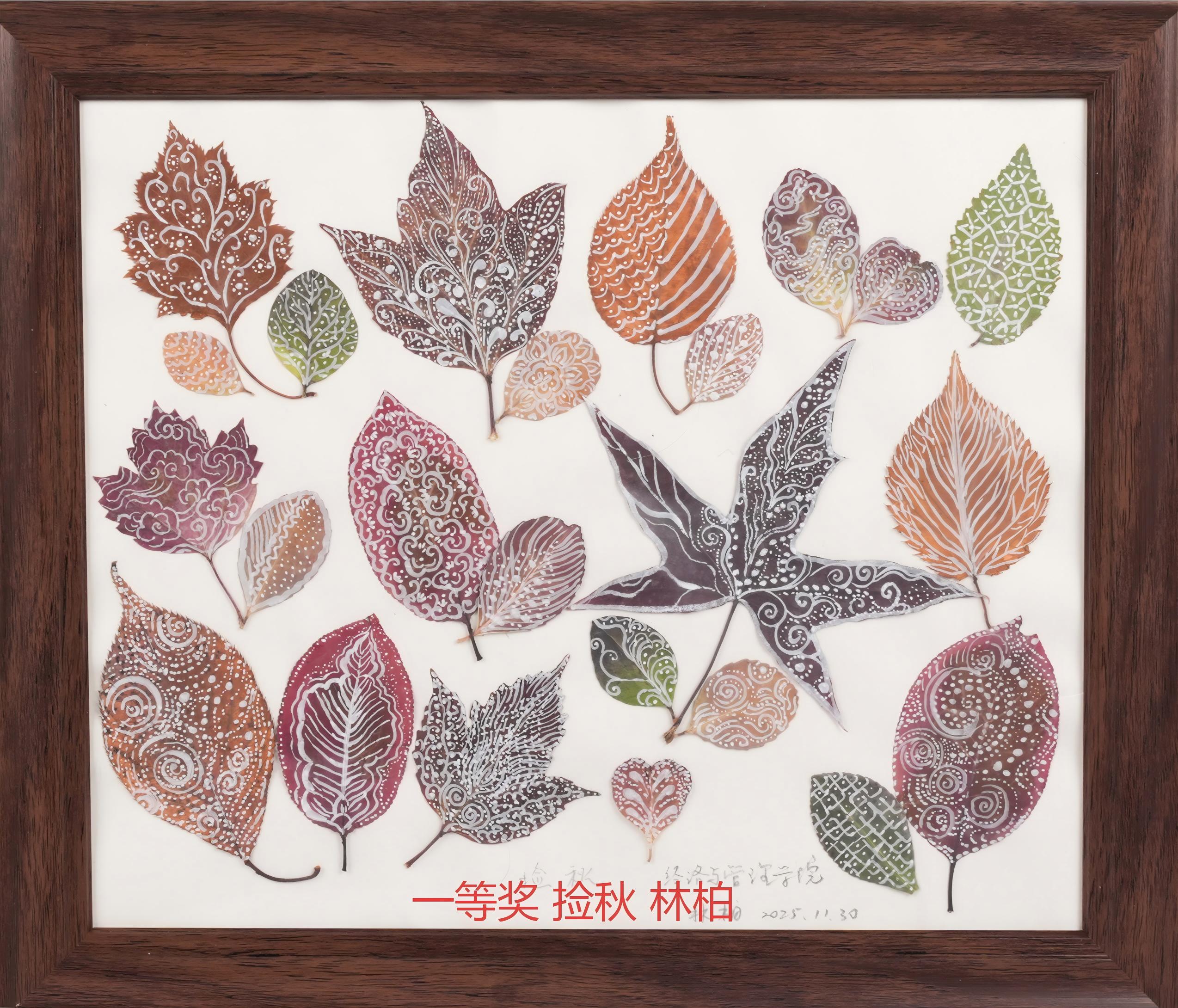 一等奖 捡秋 经管学院 林柏(1).jpg