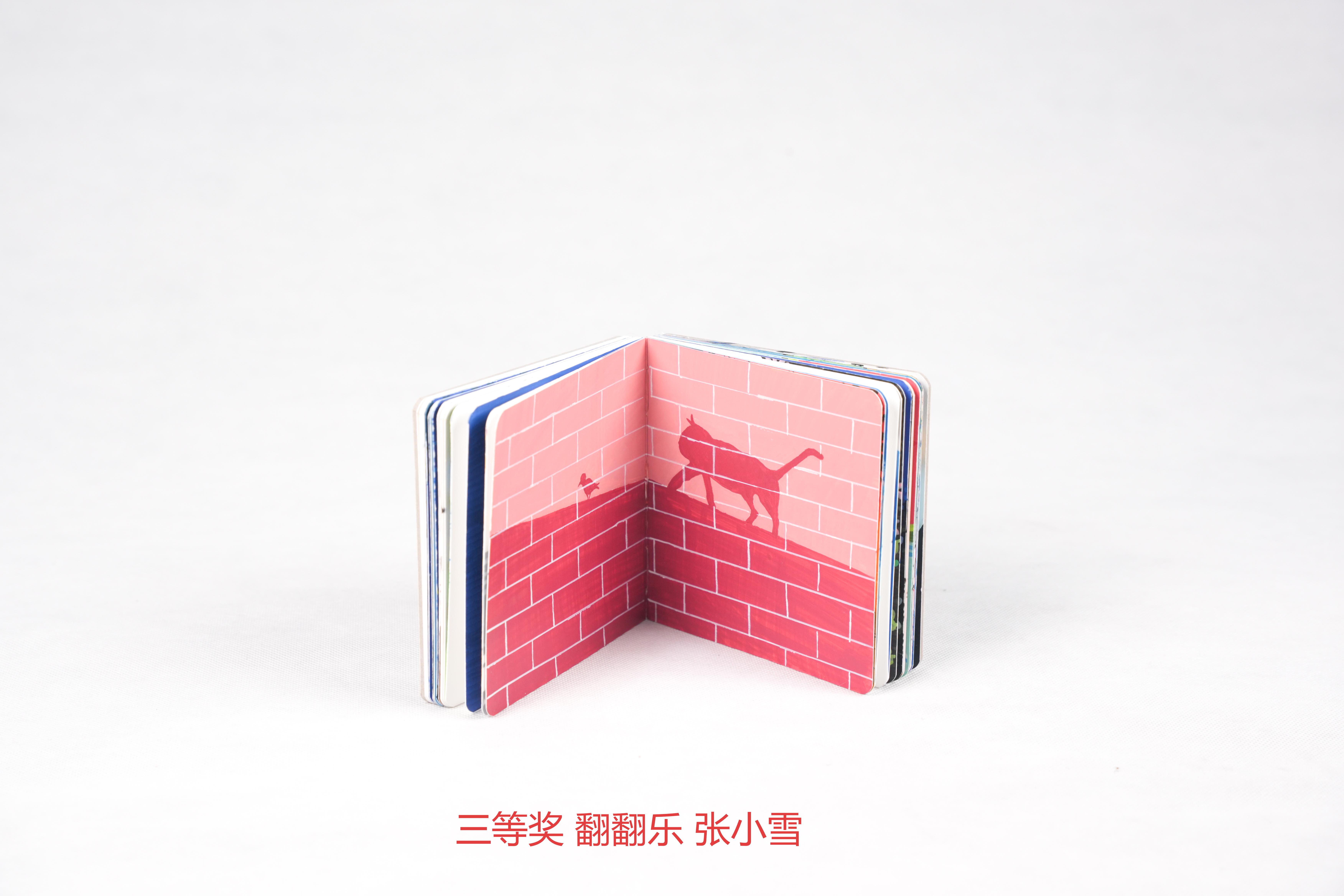三等奖 翻翻乐 新闻与传播学院 张小雪(1).jpg